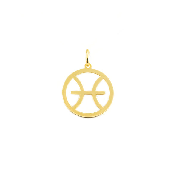 9ct Yellow Gold Pisces Horoscope pendant shine